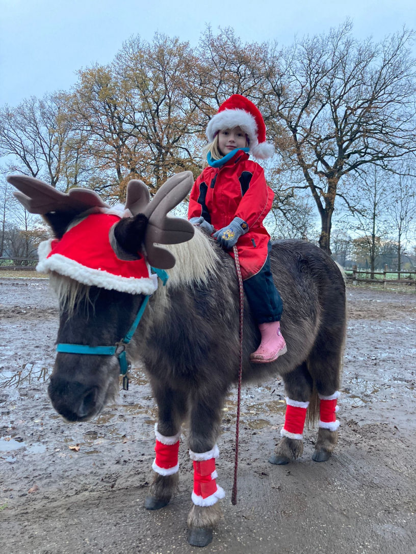 Weihnachtsausritt - Therapeutisches Reiten bei Julia in Norderstedt-Garstedt – Heilpädagogische Förderung mit dem Pferd