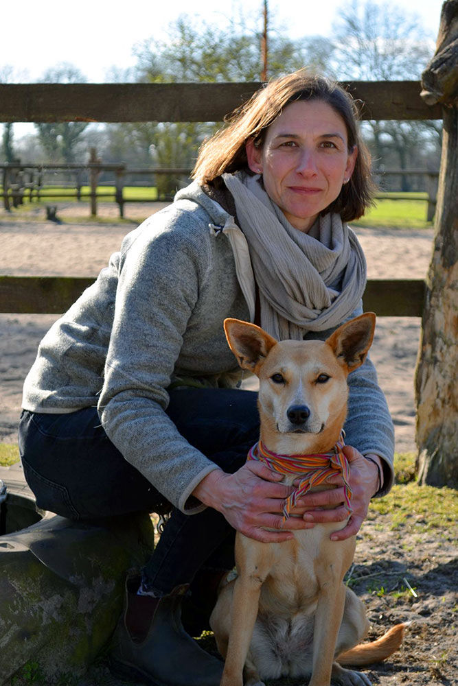 Therapeutisches Reiten bei Julia in Norderstedt-Garstedt – Heilpädagogische Förderung mit dem Pferd